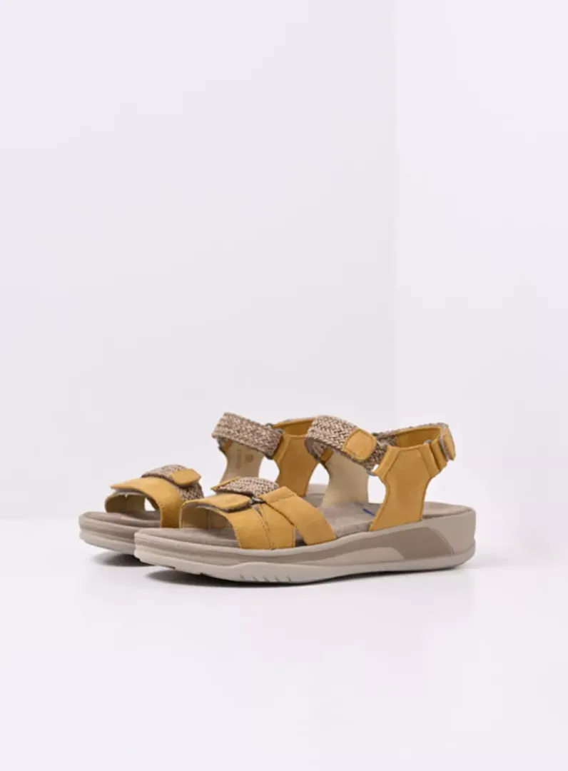 DAMES Wolky Sandalen<Acula - amber nubuck