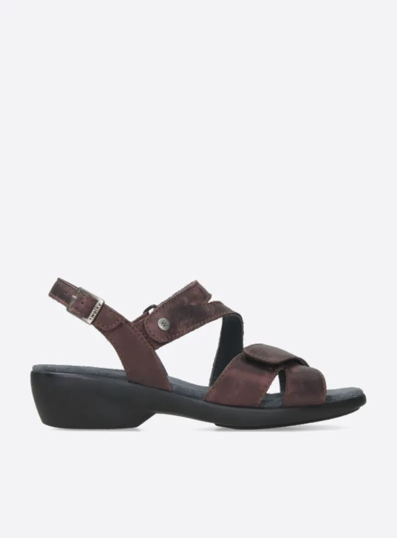 DAMES Wolky Sandalen<Fria - mokka nubuck